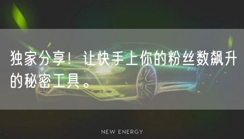 独家分享！让快手上你的粉丝数飙升的秘密工具。