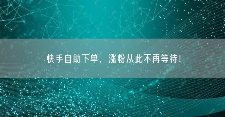 快手自助下单，涨粉从此不再等待！