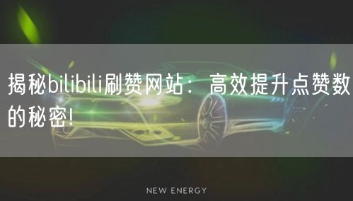 揭秘bilibili刷赞网站：高效提升点赞数的秘密!