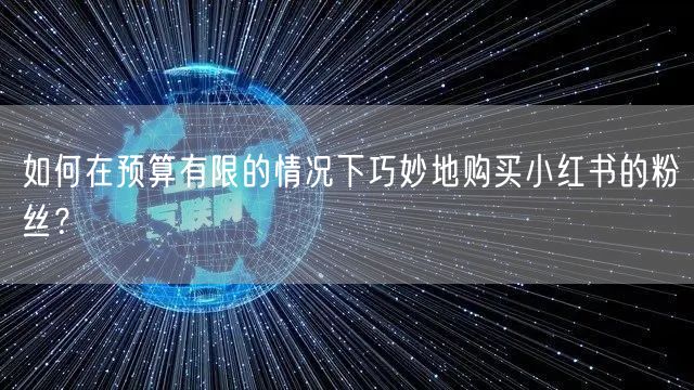 如何在预算有限的情况下巧妙地购买小红书的粉丝？