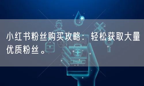 小红书粉丝购买攻略：轻松获取大量优质粉丝。