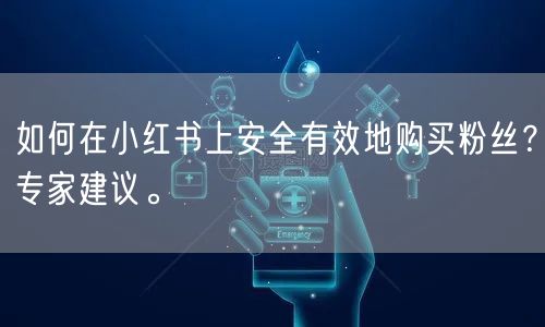如何在小红书上安全有效地购买粉丝？专家建议。