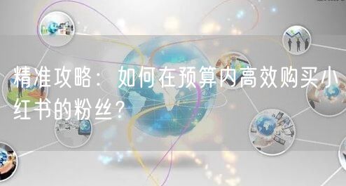 精准攻略：如何在预算内高效购买小红书的粉丝？
