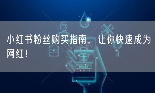 小红书粉丝购买指南，让你快速成为网红！