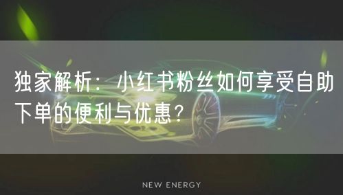 独家解析：小红书粉丝如何享受自助下单的便利与优惠？