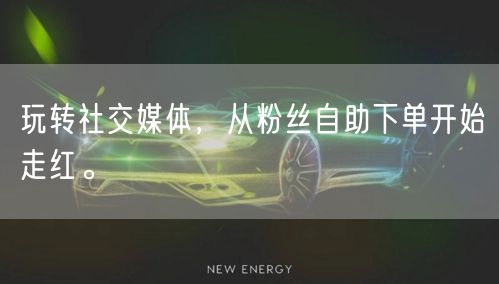 玩转社交媒体，从粉丝自助下单开始走红。