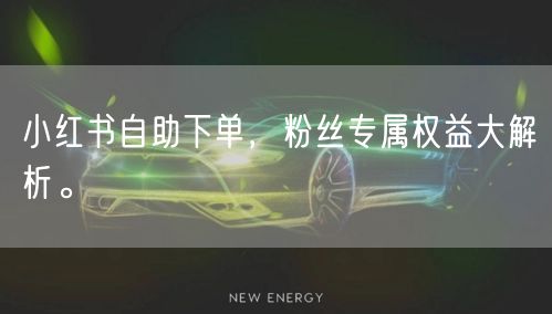 小红书自助下单,粉丝专属权益大解析。