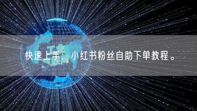 快速上手:小红书粉丝自助下单教程。