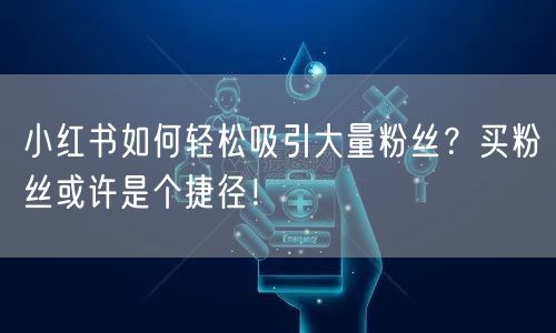 小红书如何轻松吸引大量粉丝？买粉丝或许是个捷径！