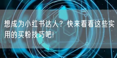 想成为小红书达人？快来看看这些实用的买粉技巧吧!