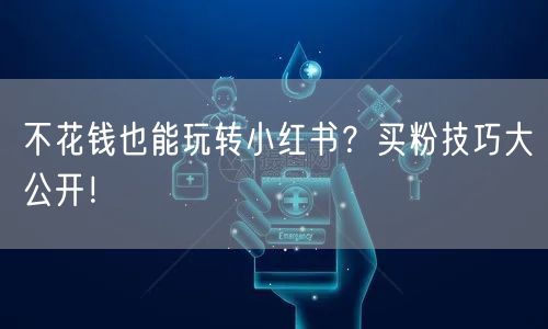 不花钱也能玩转小红书？买粉技巧大公开！