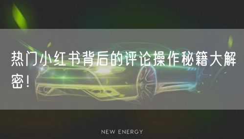 热门小红书背后的评论操作秘籍大解密！