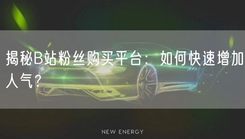 揭秘B站粉丝购买平台：如何快速增加人气？