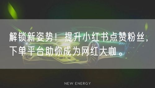 解锁新姿势！提升小红书点赞粉丝，下单平台助你成为网红大咖。