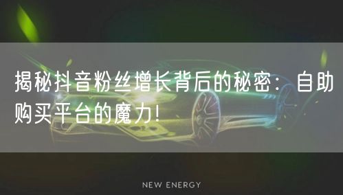 揭秘抖音粉丝增长背后的秘密：自助购买平台的魔力！