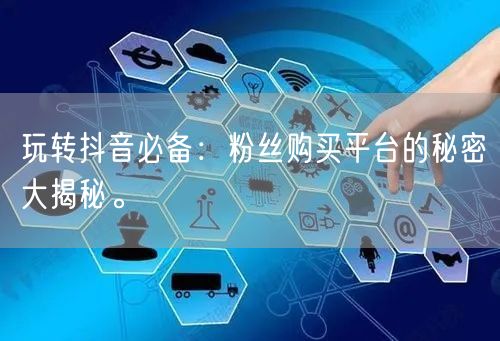 玩转抖音必备：粉丝购买平台的秘密大揭秘。