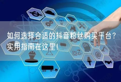如何选择合适的抖音粉丝购买平台？实用指南在这里！