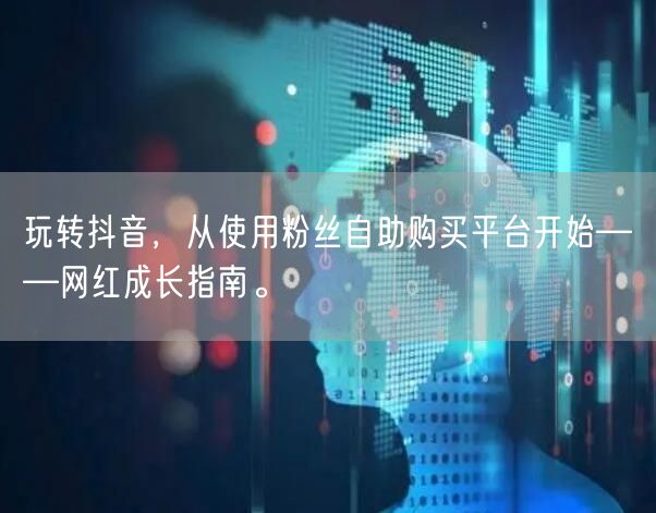 玩转抖音，从使用粉丝自助购买平台开始——网红成长指南。