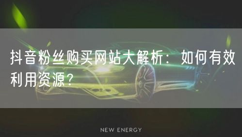 抖音粉丝购买网站大解析：如何有效利用资源？