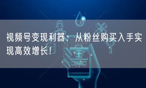 视频号变现利器：从粉丝购买入手实现高效增长！