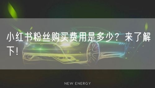 小红书粉丝购买费用是多少?来了解下!