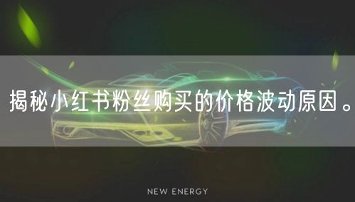 揭秘小红书粉丝购买的价格波动原因。
