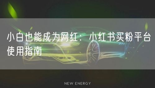 小白也能成为网红：小红书买粉平台使用指南
