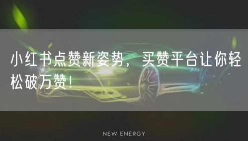 小红书点赞新姿势，买赞平台让你轻松破万赞！