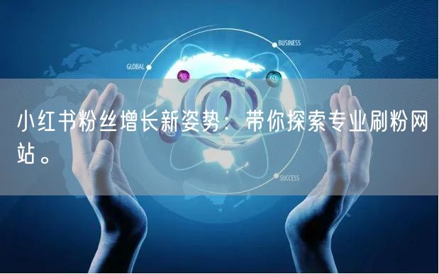 小红书粉丝增长新姿势：带你探索专业刷粉网站。