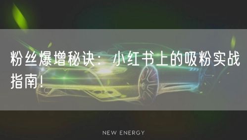 粉丝爆增秘诀：小红书上的吸粉实战指南！