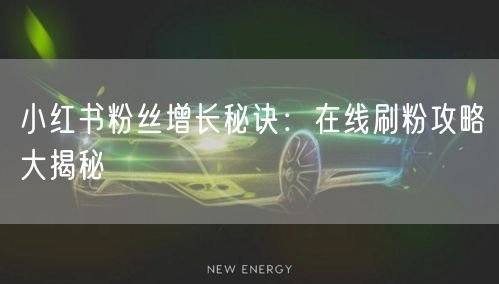 小红书粉丝增长秘诀：在线刷粉攻略大揭秘