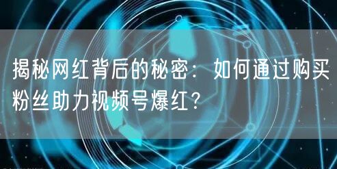 揭秘网红背后的秘密：如何通过购买粉丝助力视频号爆红？