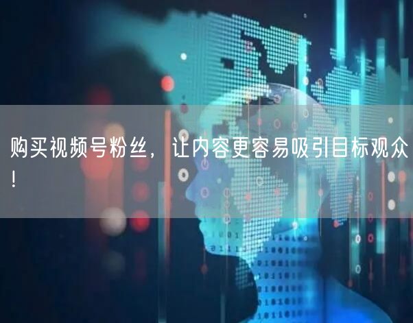 购买视频号粉丝，让内容更容易吸引目标观众！