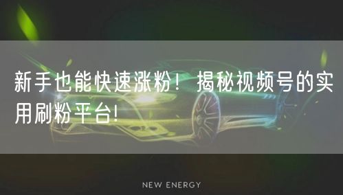 新手也能快速涨粉！揭秘视频号的实用刷粉平台!