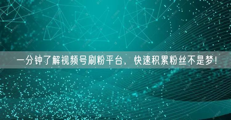 一分钟了解视频号刷粉平台，快速积累粉丝不是梦！