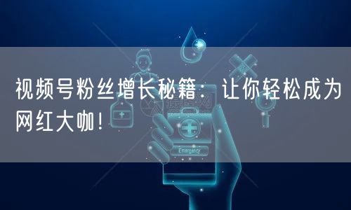 视频号粉丝增长秘籍：让你轻松成为网红大咖！