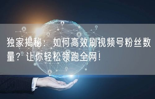 独家揭秘：如何高效刷视频号粉丝数量？让你轻松领跑全网！