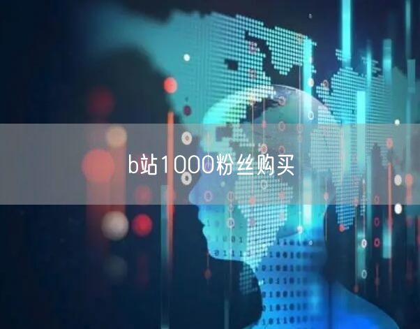b站1000粉丝购买