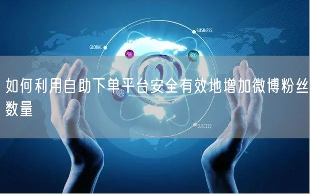 如何利用自助下单平台安全有效地增加微博粉丝数量