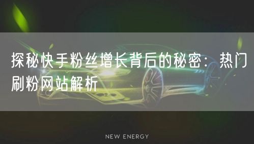 探秘快手粉丝增长背后的秘密:热门刷粉网站解析