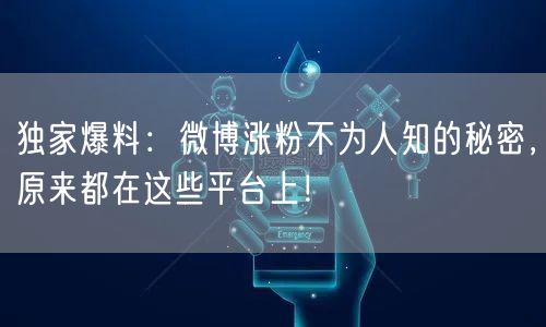 独家爆料：微博涨粉不为人知的秘密，原来都在这些平台上！
