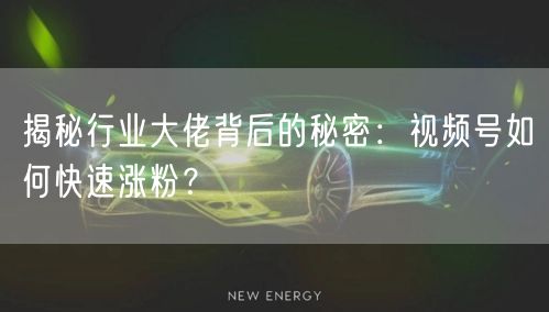 揭秘行业大佬背后的秘密：视频号如何快速涨粉？