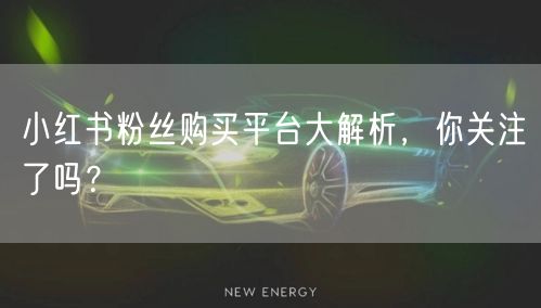 小红书粉丝购买平台大解析，你关注了吗？