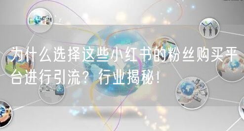 为什么选择这些小红书的粉丝购买平台进行引流？行业揭秘！