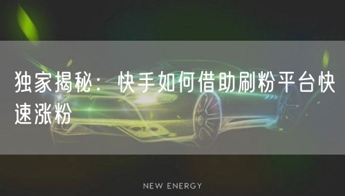 独家揭秘：快手如何借助刷粉平台快速涨粉