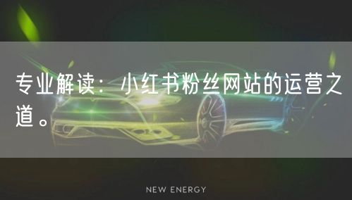 专业解读：小红书粉丝网站的运营之道。