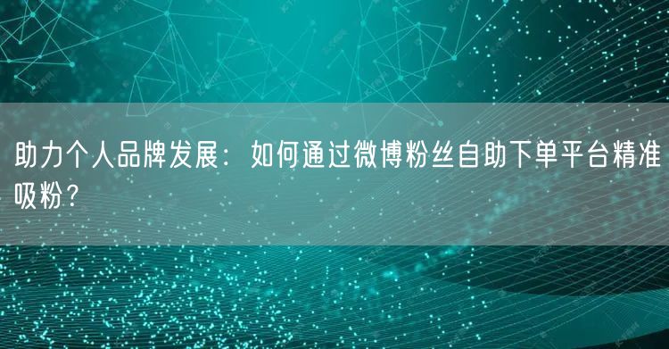 助力个人品牌发展：如何通过微博粉丝自助下单平台精准吸粉？