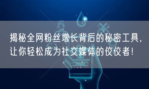 揭秘全网粉丝增长背后的秘密工具，让你轻松成为社交媒体的佼佼者！