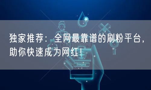 独家推荐：全网最靠谱的刷粉平台，助你快速成为网红！