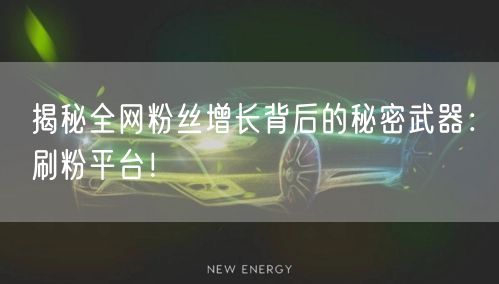 揭秘全网粉丝增长背后的秘密武器：刷粉平台！